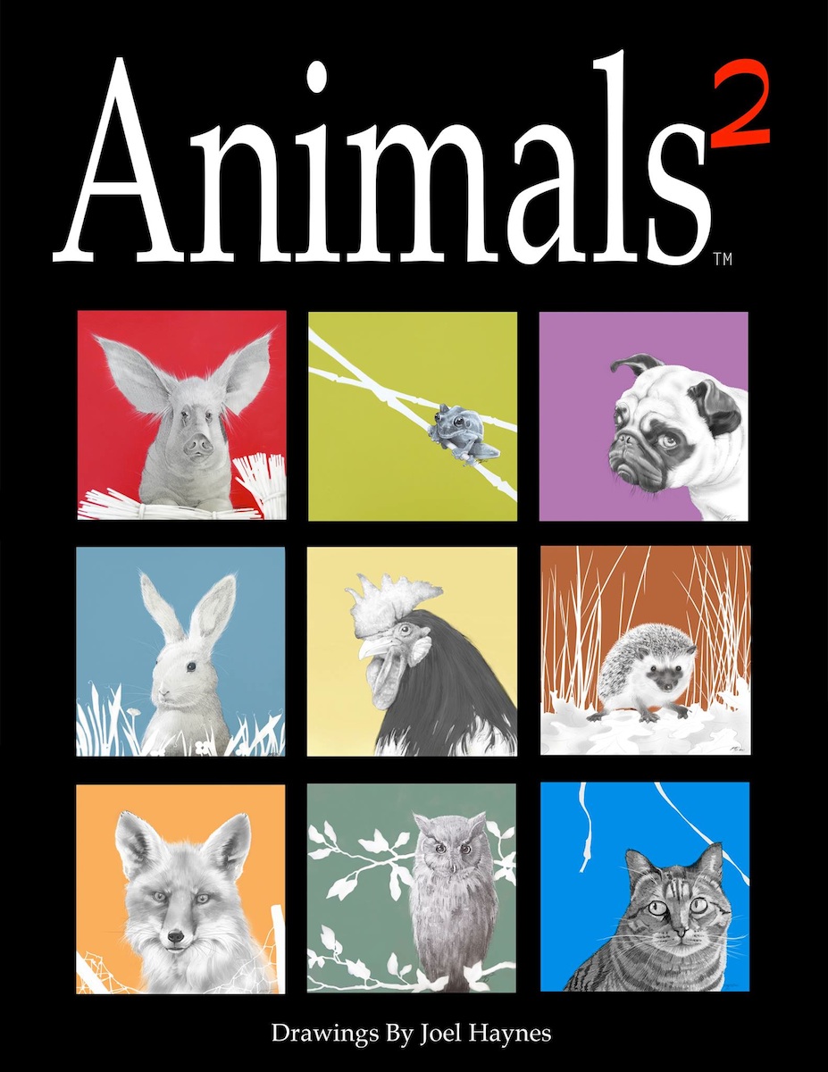 Animals 2 Drawings by Joel Haynes