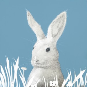 Rabbit - Animal Squared by Joel Haynes