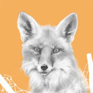 Fox- Animals Squared by Joel Haynes Art
