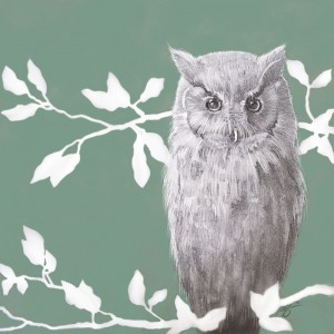Owl - Animals Squared by Joel Haynes Art