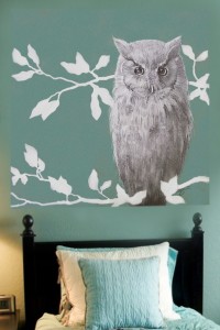 Owl - Animals Squared by Joel Haynes Art