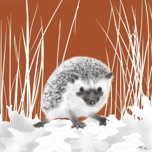 Hedgehog - Animals Squared by Joel Haynes Art
