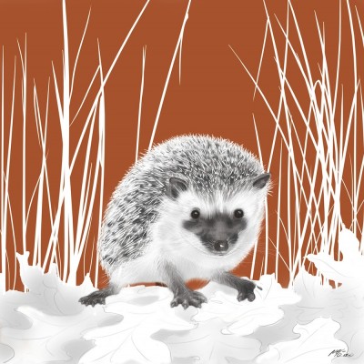 Hedgehog - Animals Squared by Joel Haynes Art