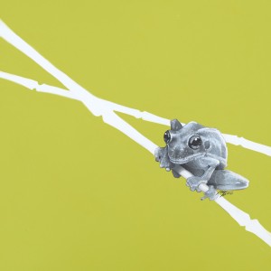 Frog - Animals Squared by Joel Haynes Art