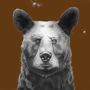 Joel Haynes Animals Squared - Bear