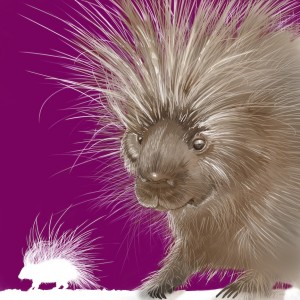 Joel Haynes Animals Squared - Porcupine